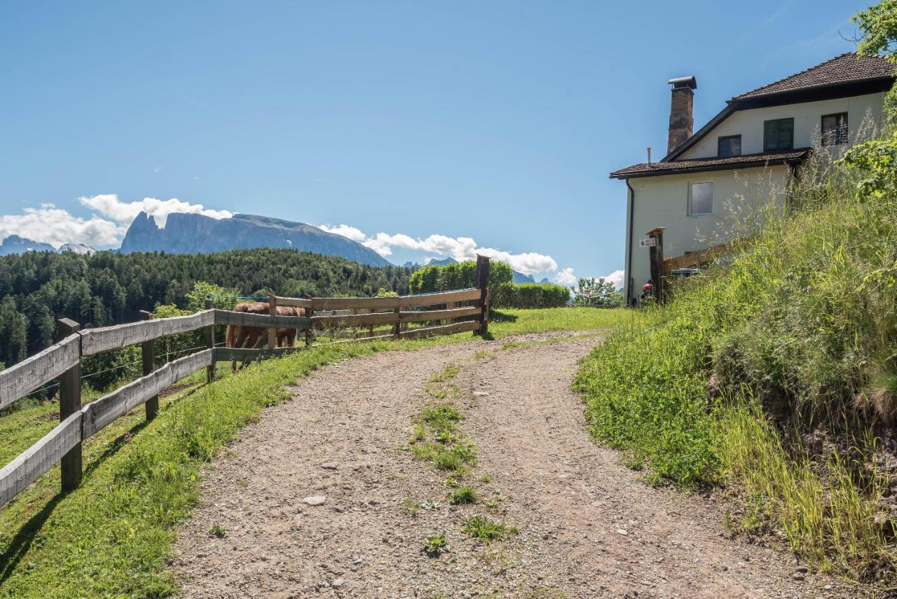 Sallrain Hof Monolokal 4 Collalbo Exteriér fotografie